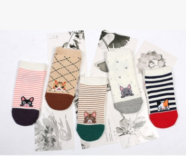 5 pair High Quality Cute Cat Striped Women Socks Creative Casual Cotton Funny Animal Socks for Woman