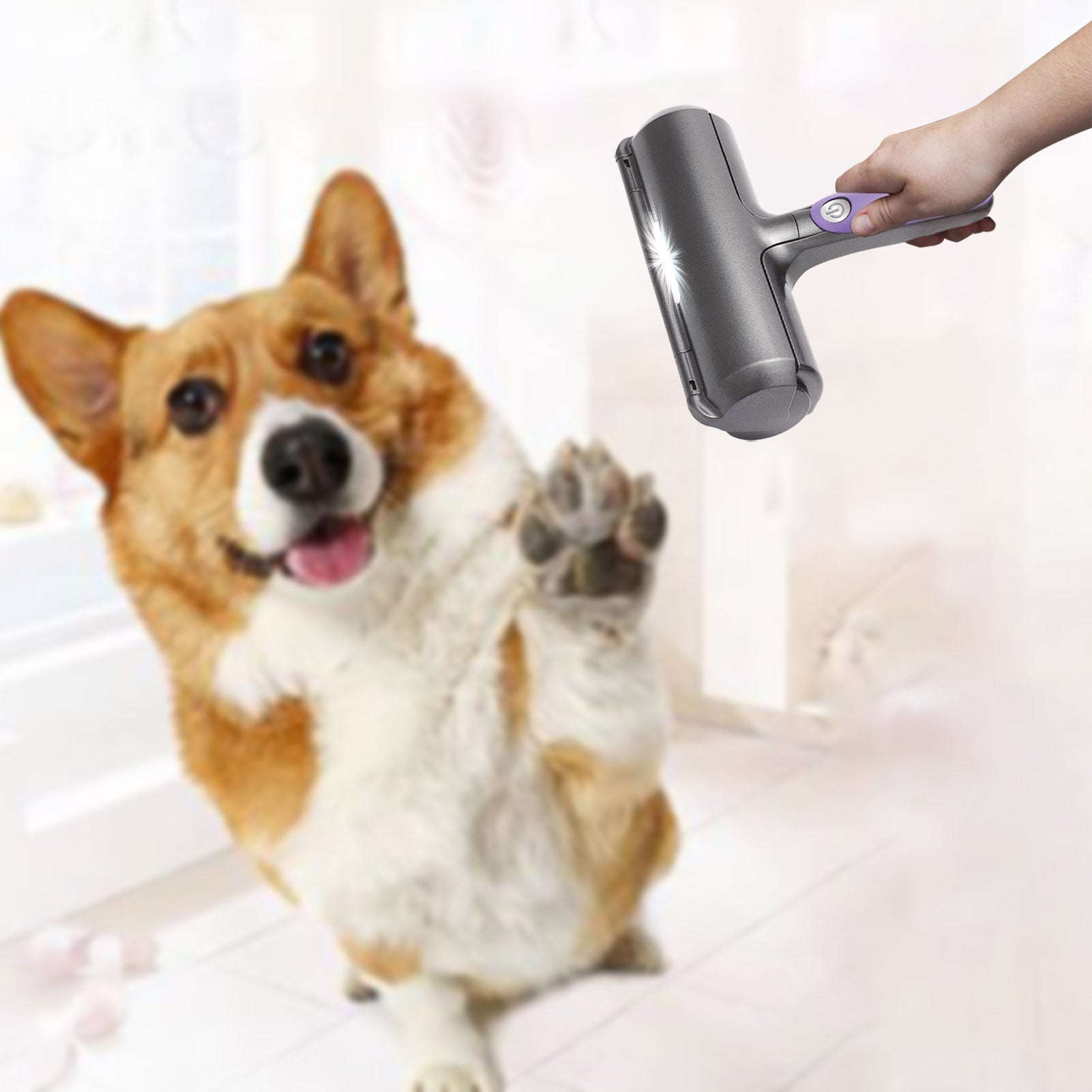 Plastic Pet Roller Hair Removal Cleaner